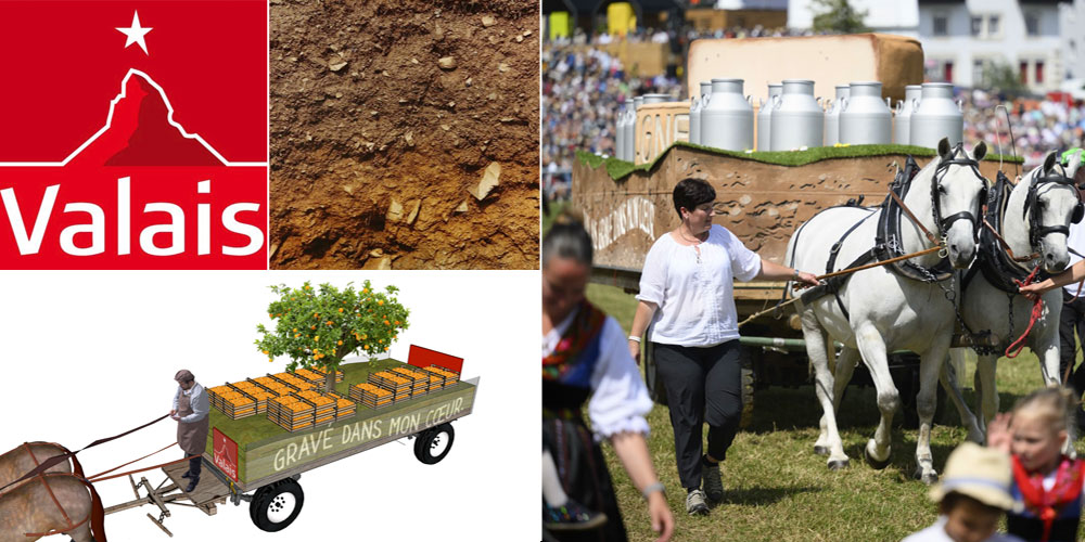 marché-concours – Saignelégier JU