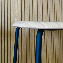 SALENTIN rénovation d’un café-restaurant - Evionnaz VS