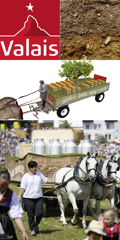 marché-concours – Saignelégier JU